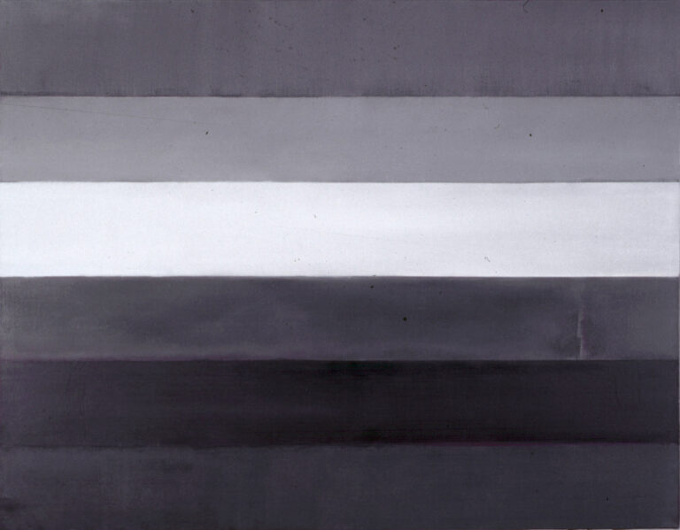 gray flag #3 >huile sur toile > 46 x 114 cm > 2015