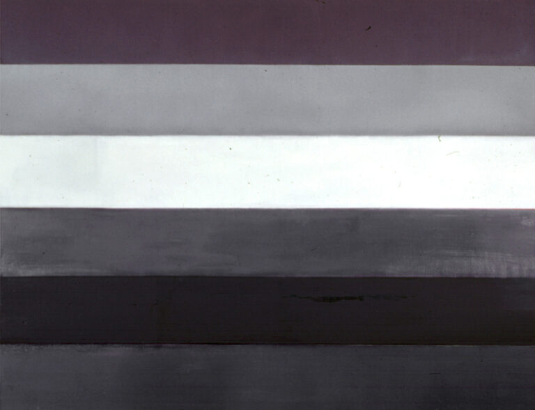 gray flag #2 >huile sur toile > 46 x 114 cm > 2015