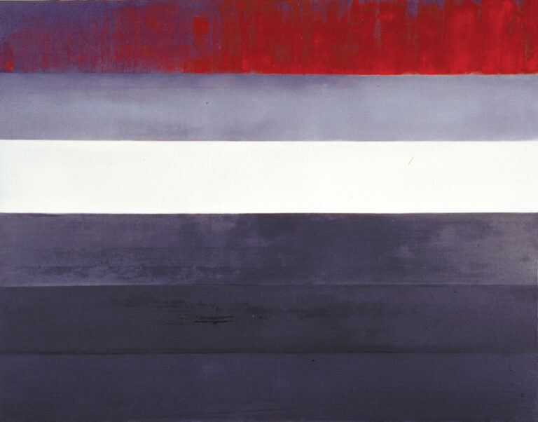 gray flag #4 >huile sur toile > 46 x 114 cm > 2015